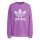 Adidas Originals Crewneck Sweat purple/weiß 40