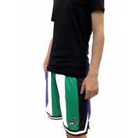 Karl Kani Shorts Varsity Striped Mesh green/whi/purple L