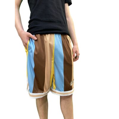 Karl Kani Shorts Varsity Striped Mesh blue/brown