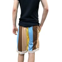 Karl Kani Shorts Varsity Striped Mesh blue/brown M