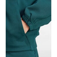 Adidas Zip Hoodie Future Icon Small Logo Aurivy