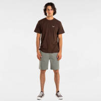 Reell Reflex Chino Short Superior Light Green